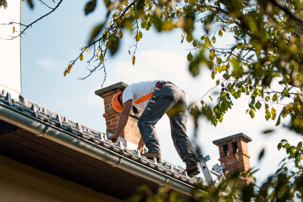 Best Best Roofing Contractors  in Feather Sound, FL