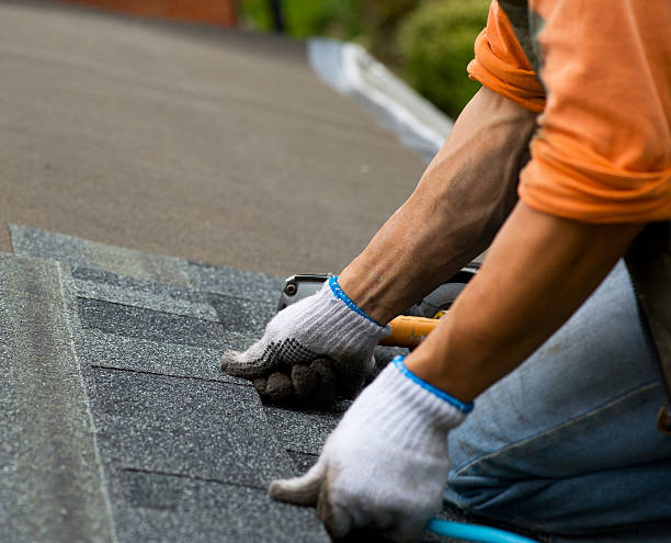 Best Roof Gutter Cleaning  in Feather Sound, FL