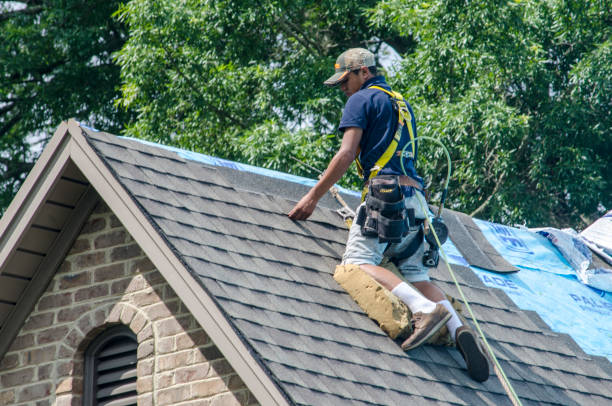 Quick and Trustworthy Emergency Roof Repair Services in Feather Sound, FL
